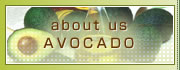 about us AVOCADO�@�A�{�J�h�̓V�R�X�L���P�A